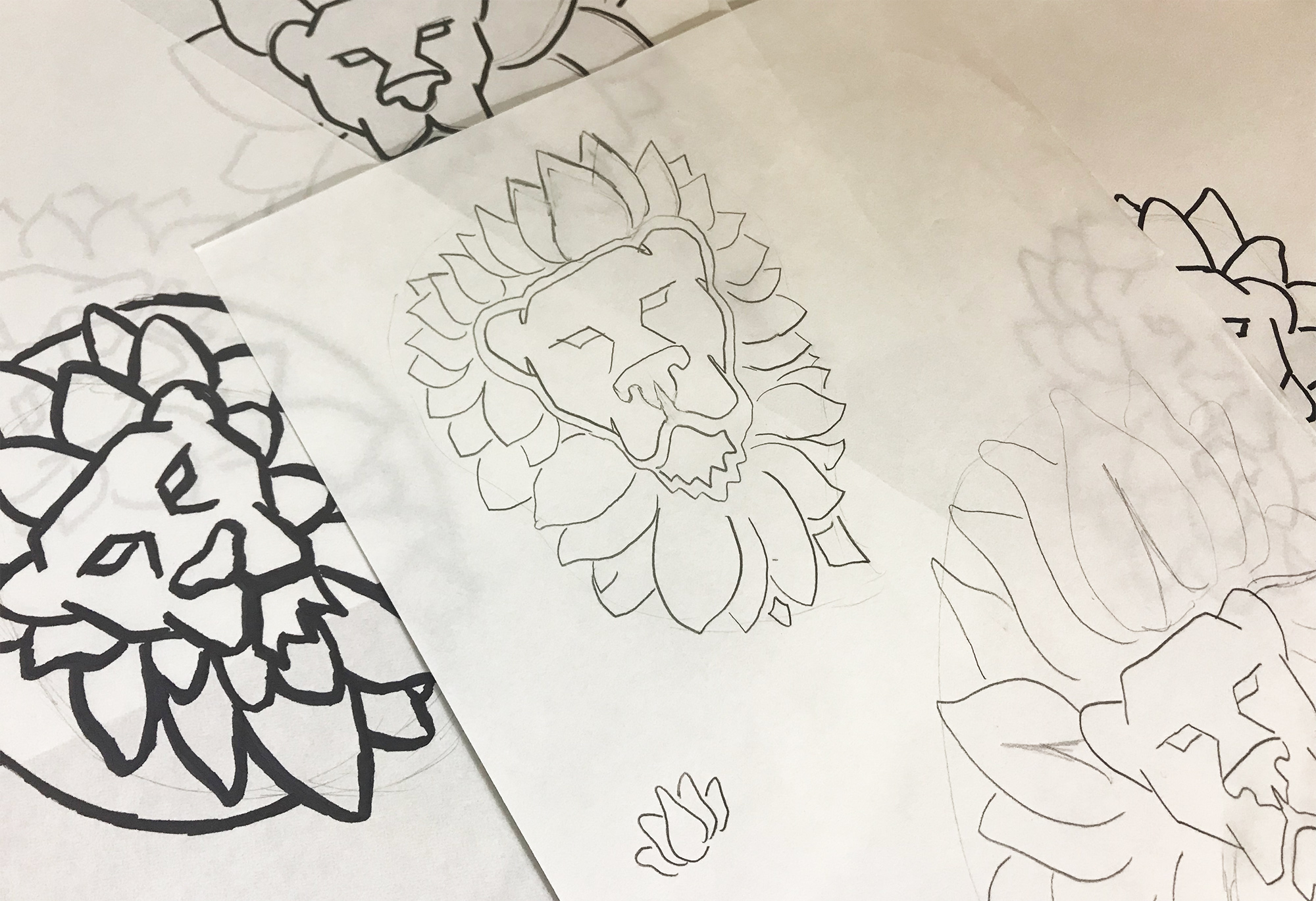 Lotus & Lion Sketches